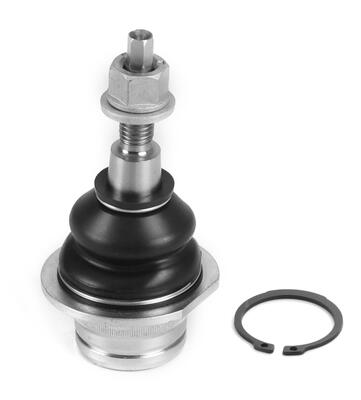 Moog Fuseekogel VO-BJ-18542