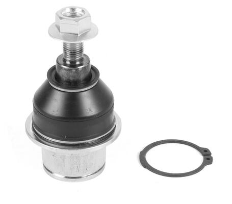 Moog Fuseekogel VO-BJ-18681