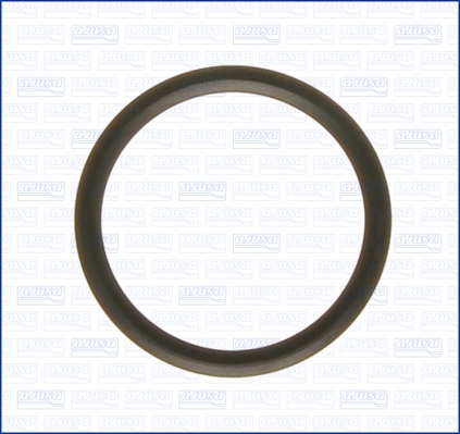 Thermostaat pakking Ajusa 00538000
