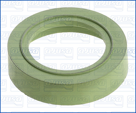 Ajusa Afdichtring, bougieschacht 01025200