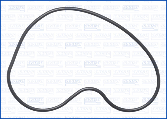 Pakking, waterpomp Ajusa 01531200