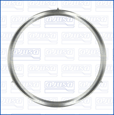 Afdichting, EGR-klep Ajusa 01607300