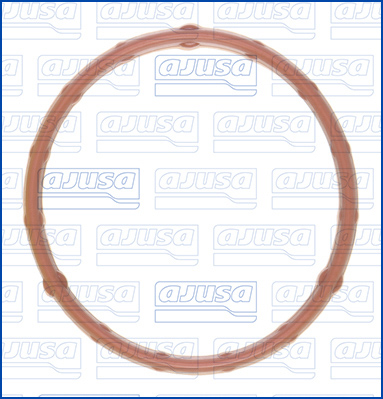 Ajusa Afdichtring, wateraansluiting (turbolader) 01685400