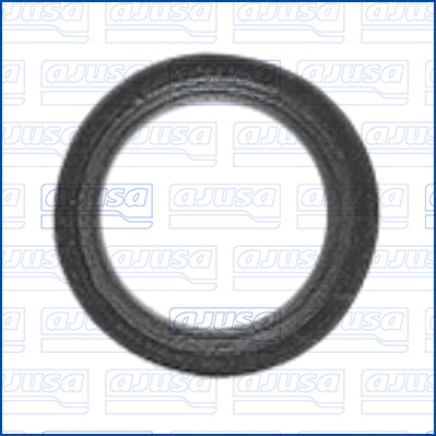 Ajusa Afdichtring, injectieklep 01896100