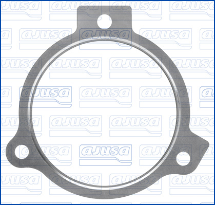 Ajusa Dichtring, leiding EGR-klep 01924300