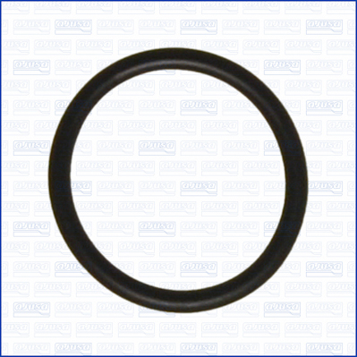 Pakking, koelvloeistofpijpleiding Ajusa 16078300