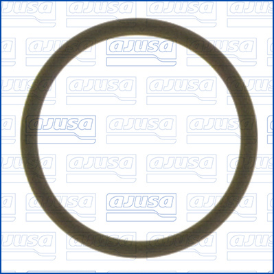 Pakking, waterpomp Ajusa 16080600