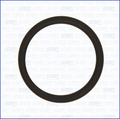 Afdichtring, zuigbuis (oliepomp) Ajusa 16093800