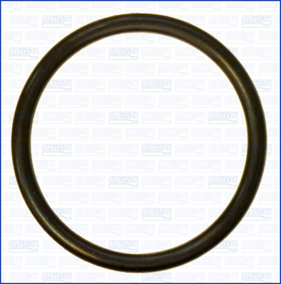 Afdichtring Ajusa 16101700