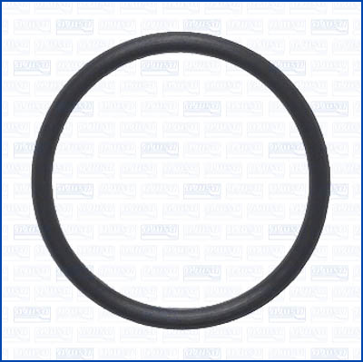 Pakking, waterpomp Ajusa 16556900