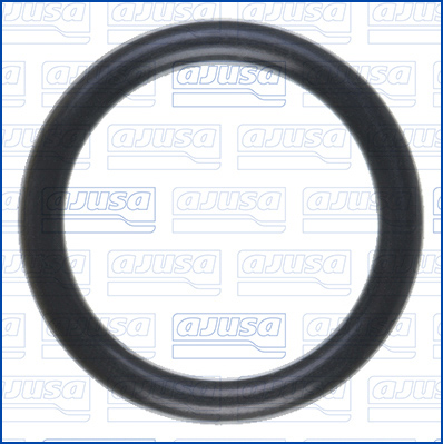 Ajusa Pakking, thermostaat 16572000