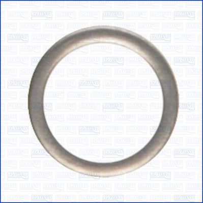 Afdichtring, inspuitpomp Ajusa 22004900