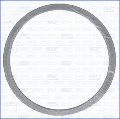 Olie aftapplug dichting Ajusa 22015500