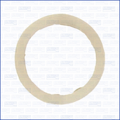 Olie aftapplug dichting Ajusa 29000700
