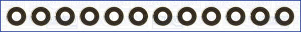 Klepsteeldichting Ajusa 57037000