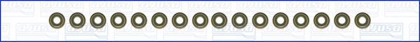 Klepsteeldichting Ajusa 57068900