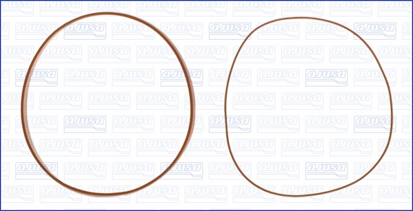 Cilinderbus/voering O-ring Ajusa 60001900