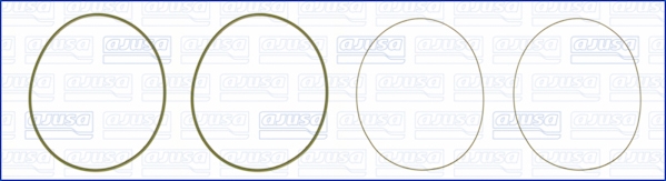 Cilinderbus/voering O-ring Ajusa 60007900