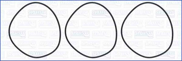 Cilinderbus/voering O-ring Ajusa 60010900