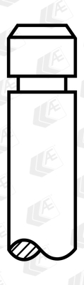 Inlaatklep AE V90052