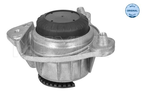 Meyle Motorsteun 014 024 0185