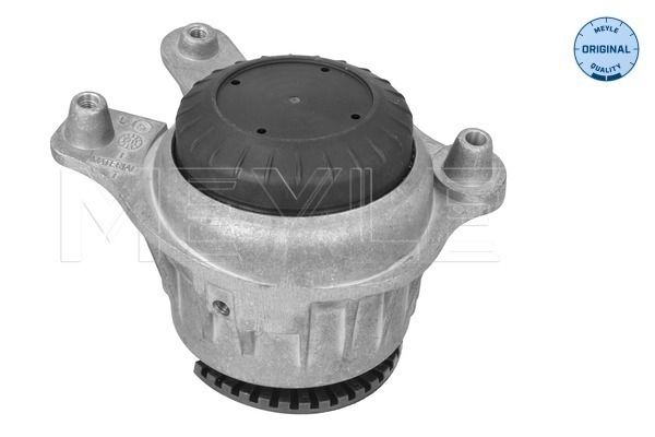 Meyle Motorsteun 014 024 2200
