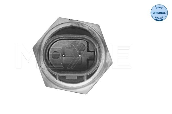 Meyle Temperatuursensor 014 810 0006