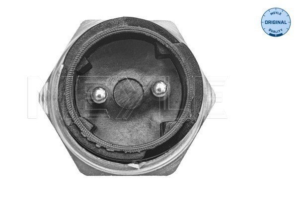 Meyle Olietemperatuursensor 034 820 0005