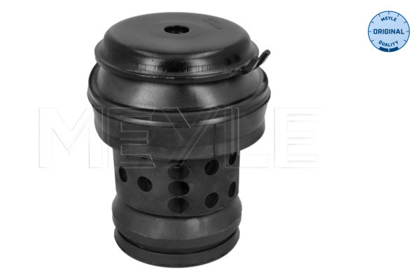 Meyle Motorsteun 100 199 0036