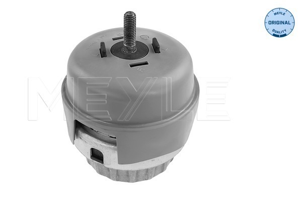 Meyle Motorsteun 100 199 0173