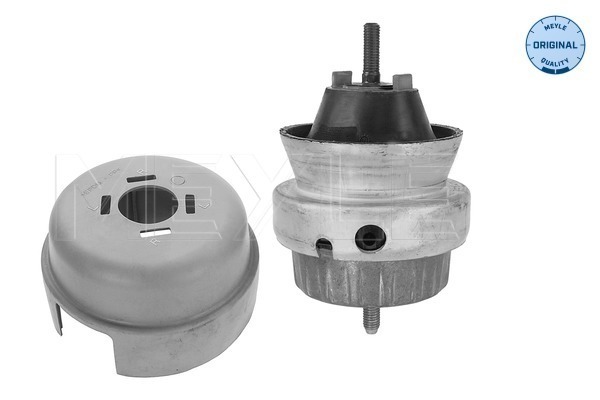 Meyle Motorsteun 100 199 0173