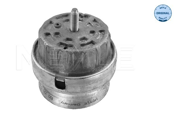 Meyle Motorsteun 100 199 0173