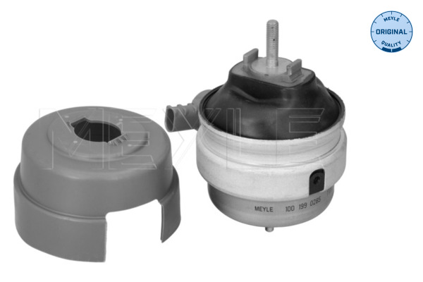 Meyle Motorsteun 100 199 0285