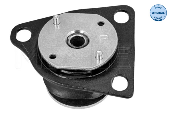 Meyle Ophanging, hulpframe/motordrager 100 399 0010