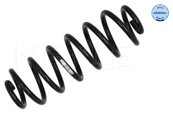 Chassisveer Meyle 100 739 0063