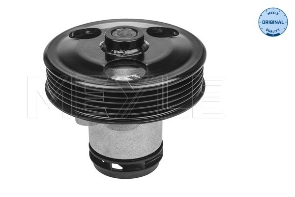 Meyle Waterpomp 113 220 0028