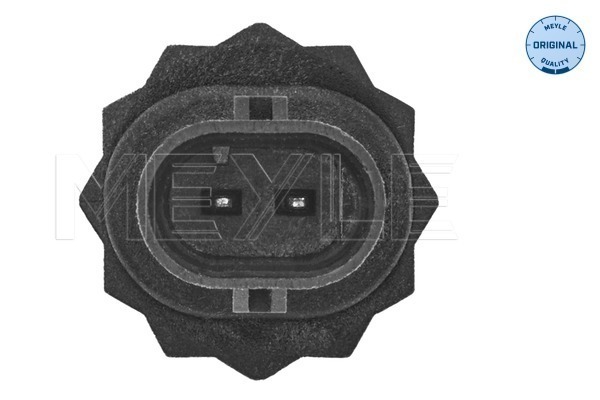 Meyle Olietemperatuursensor 114 821 0010