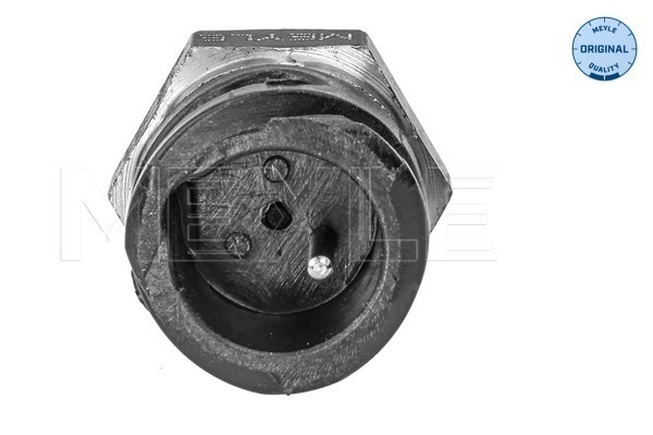 Meyle Olietemperatuursensor 12-34 820 0001