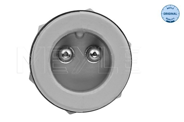 Meyle Temperatuursensor 12-34 820 0005