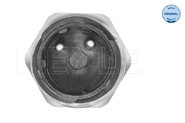 Meyle Temperatuursensor 12-34 820 0007