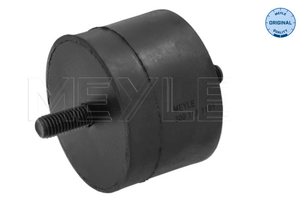 Meyle Motorsteun 300 118 1101