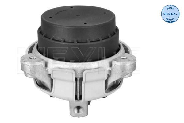 Meyle Motorsteun 300 118 1136