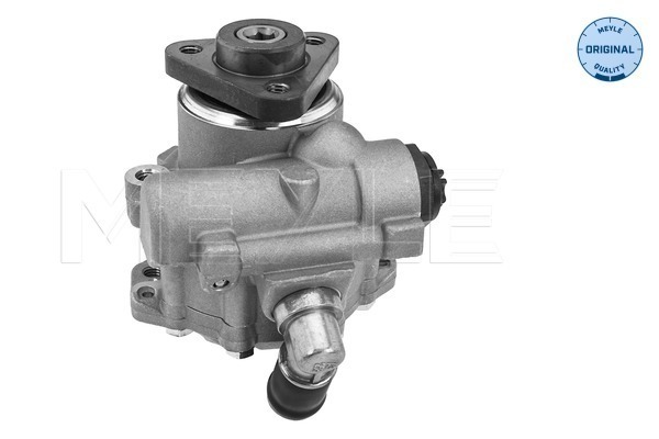 Meyle Servopomp 314 631 0025