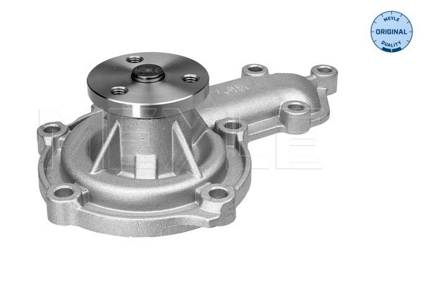 Meyle Waterpomp 53-13 220 0001