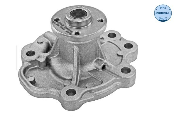 Meyle Waterpomp 613 220 0008