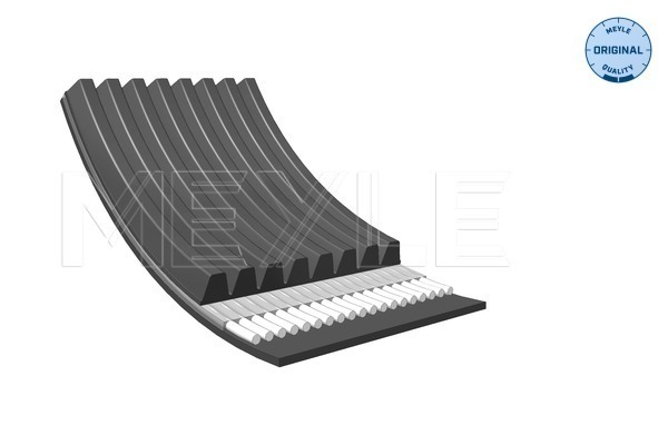 Poly V-riem Meyle 050 008 2622