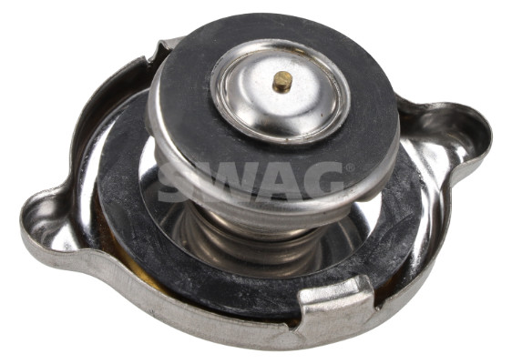 Swag Radiateurdop 10 99 0010