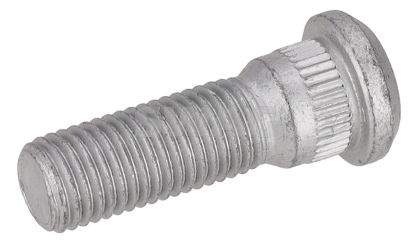 Swag Wielbout 33 11 1586