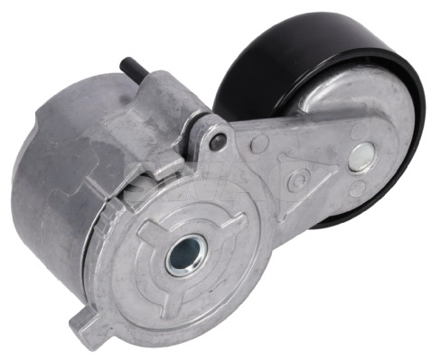 Swag Riemspanner, Poly V-riem 33 11 3171