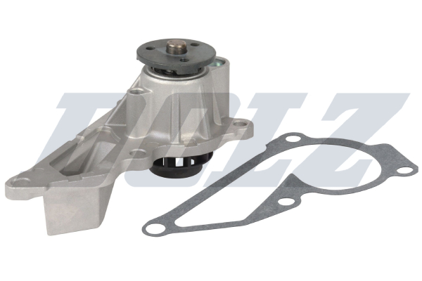 Waterpomp, motorkoeling Dolz R246